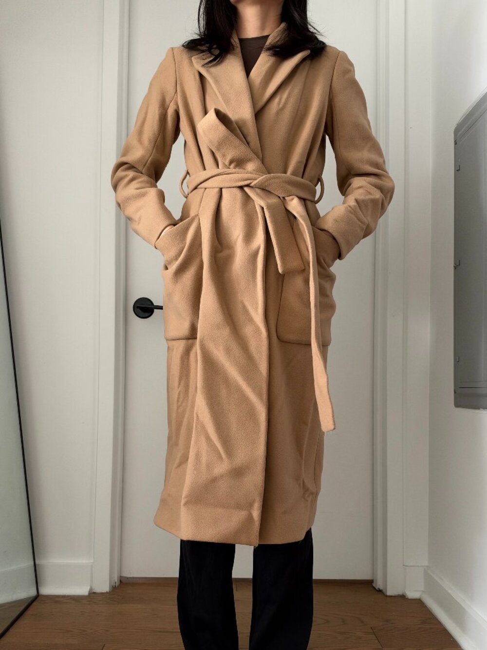 ARITZIA Carlyle Wool Coat